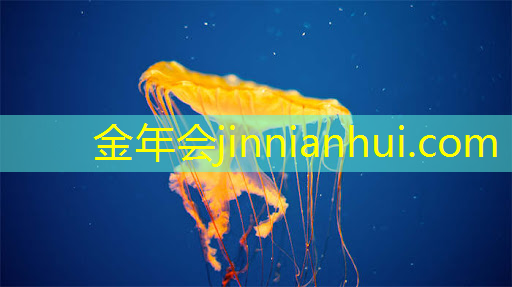 角色原画转场景的游戏有哪些