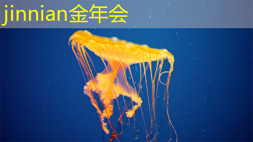 jinnian金年会体育：王者游戏角色设计原画