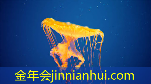 3d打枪的游戏生化精英