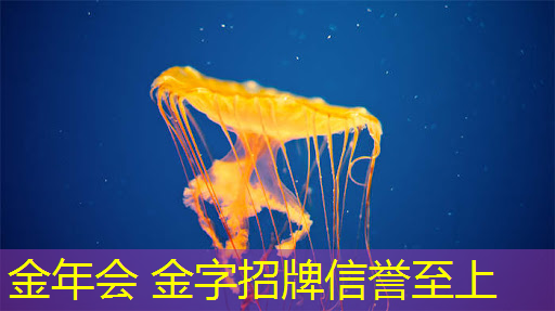 金年会首页：3d时代游戏解说大全最新