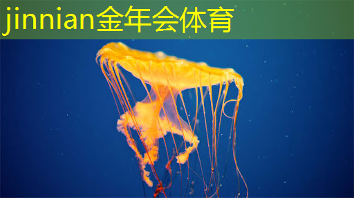 jinnian金年会：毛衣小游戏抖音小程序入口
