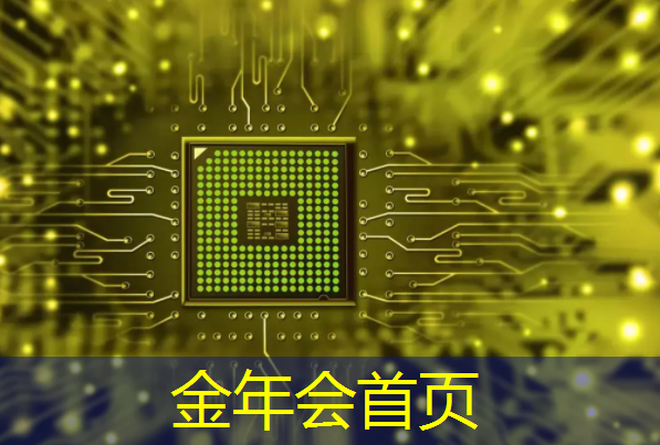 jinnian金年会体育：3d回合制端游老游戏