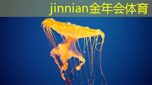 金年会jinnianhui.com：ps4 3d策略类游戏