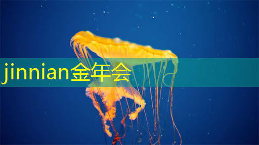 jinnian金年会：双男主3d游戏小说有哪些