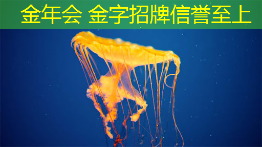 金年会 金字招牌信誉至上：游戏滚球小程序叫什么