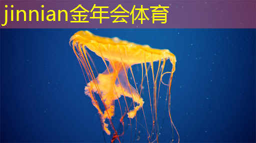 jinnian金年会体育：我玩的3d手机游戏