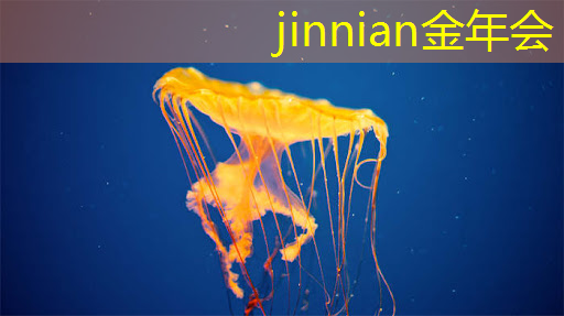 jinnian金年会：3d格斗经典推荐游戏