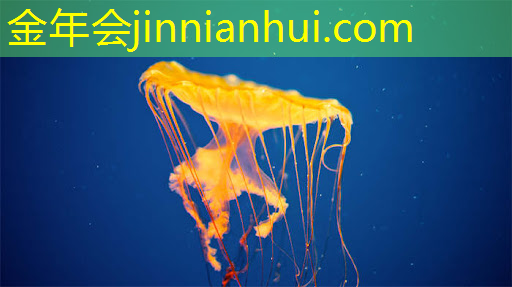 jinnian金年会：《电竞青年技能大赛官网与知名赛事举办方合作！多元联动，精彩无限！》