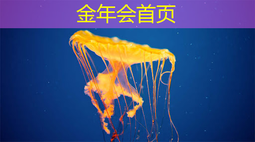 角色原画转场景的游戏有哪些
