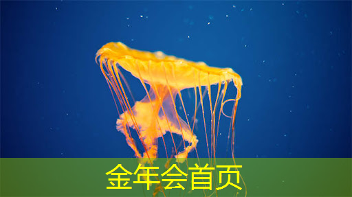 原画游戏宠物大全