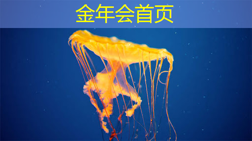 学习开发3d游戏需要学习啥