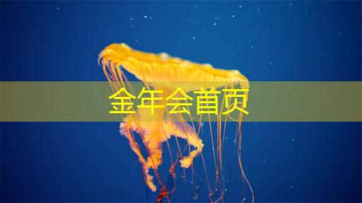王者游戏角色设计原画