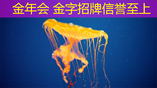 3d公路传说游戏官网