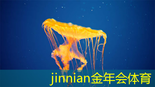 3d打枪的游戏生化精英