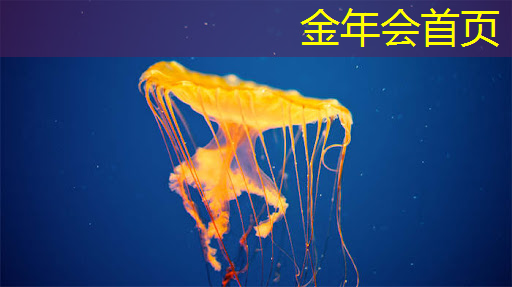 3d时代游戏解说大全最新