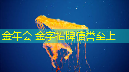 毛衣小游戏抖音小程序入口