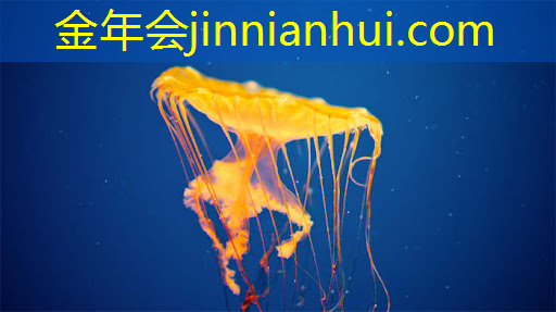 美人游戏小程序破解版最新