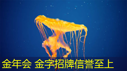 双男主3d游戏小说有哪些