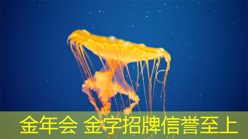枪神小游戏程序在哪
