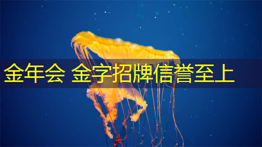 我玩的3d手机游戏