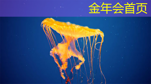 微信小程序游戏猫冒险游戏