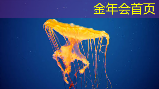 挂机升级3d手游游戏