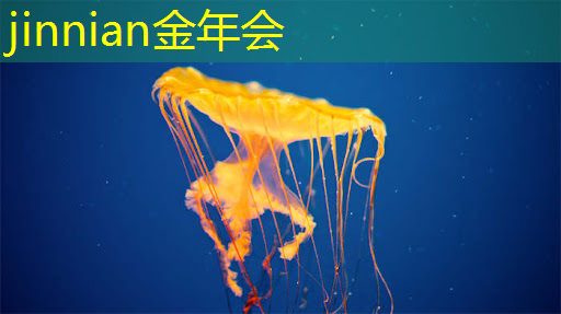 最便宜的游戏小程序是什么